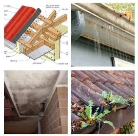 Dirty Gutters Damage