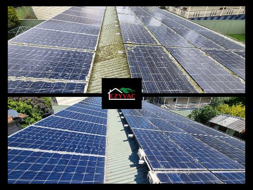 Solar Panel Lichen Cleaning